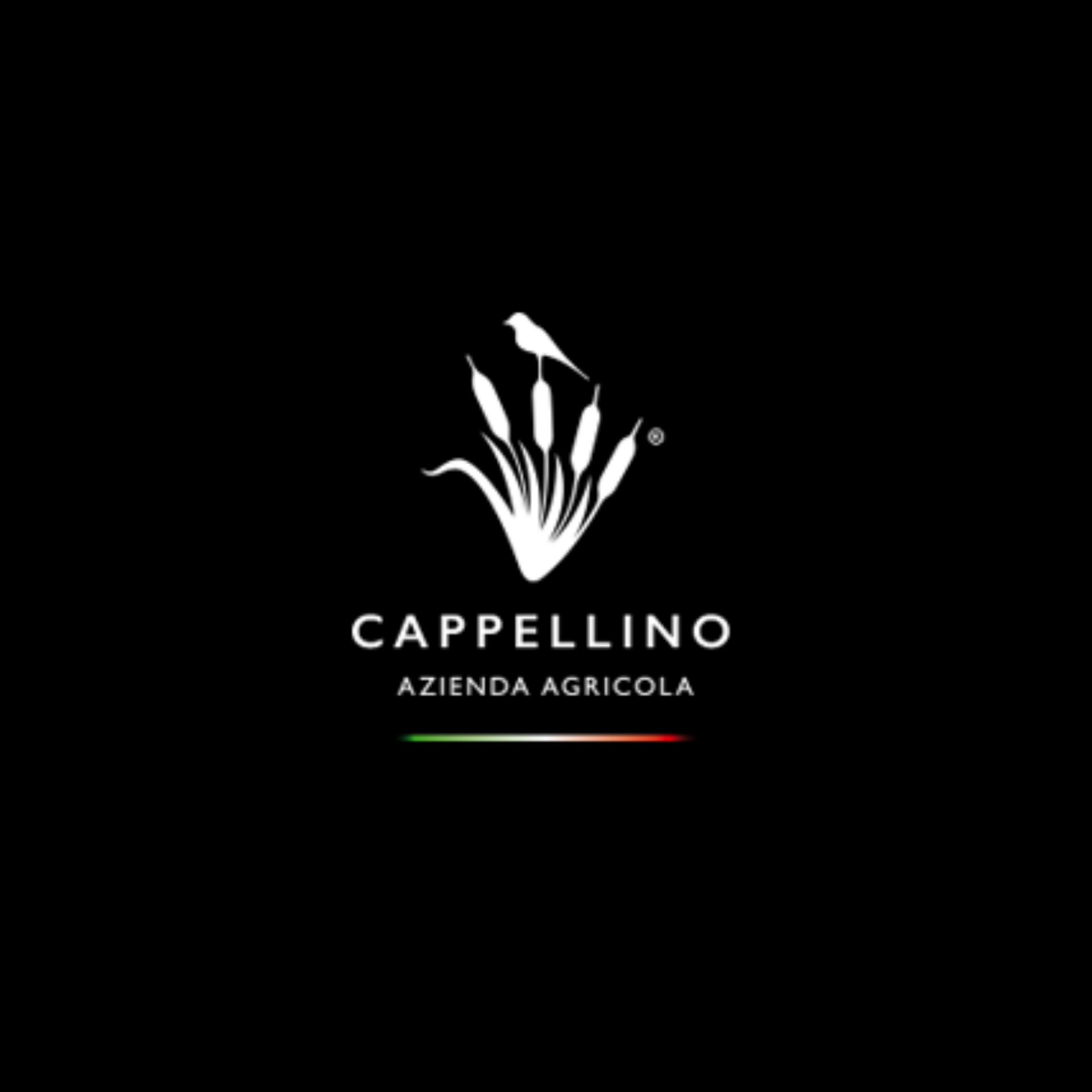 Cappellino Logo